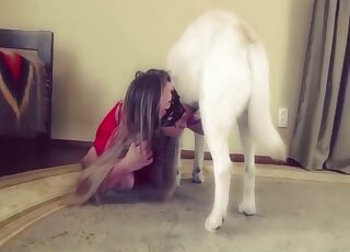 White dog gets to screw a hot beauty from behind