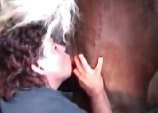 Rimjob for a hot brown horse