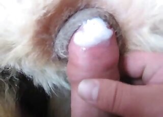Creaming a tight anal hole of my passionate dog