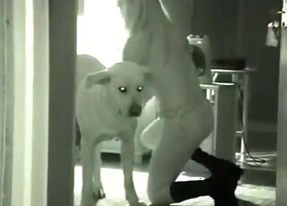 Glamour busty blonde and her doggy