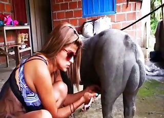 Winning hooker knocked by a splendid pup